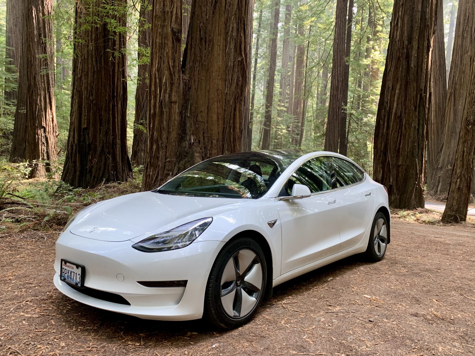 2019 / Model 3 / Long Range AWD / White 9b71a Sell Your Tesla