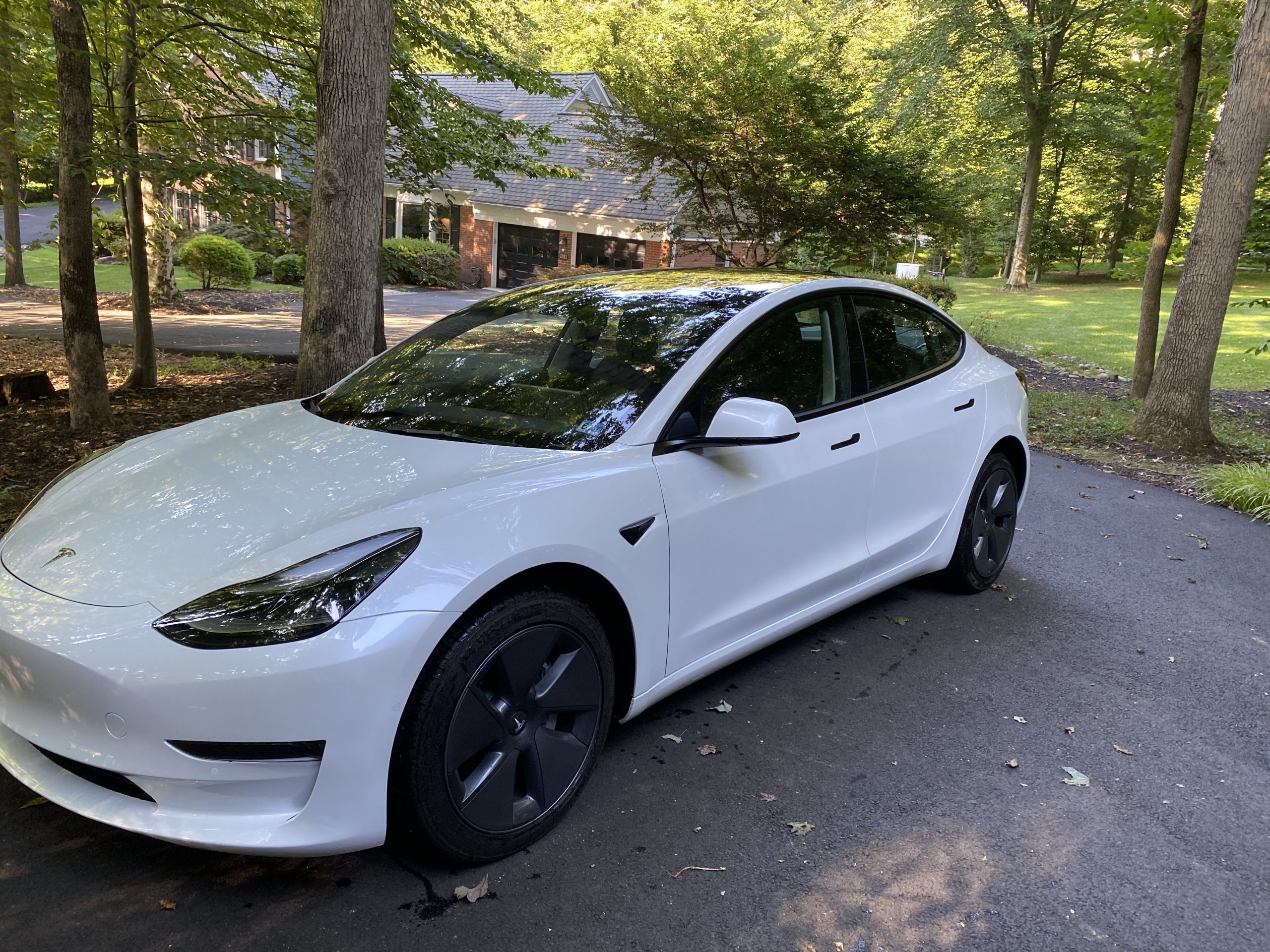 2022 / Model 3 / Standard Range / Pearl White Multi Coat Y045X Sell